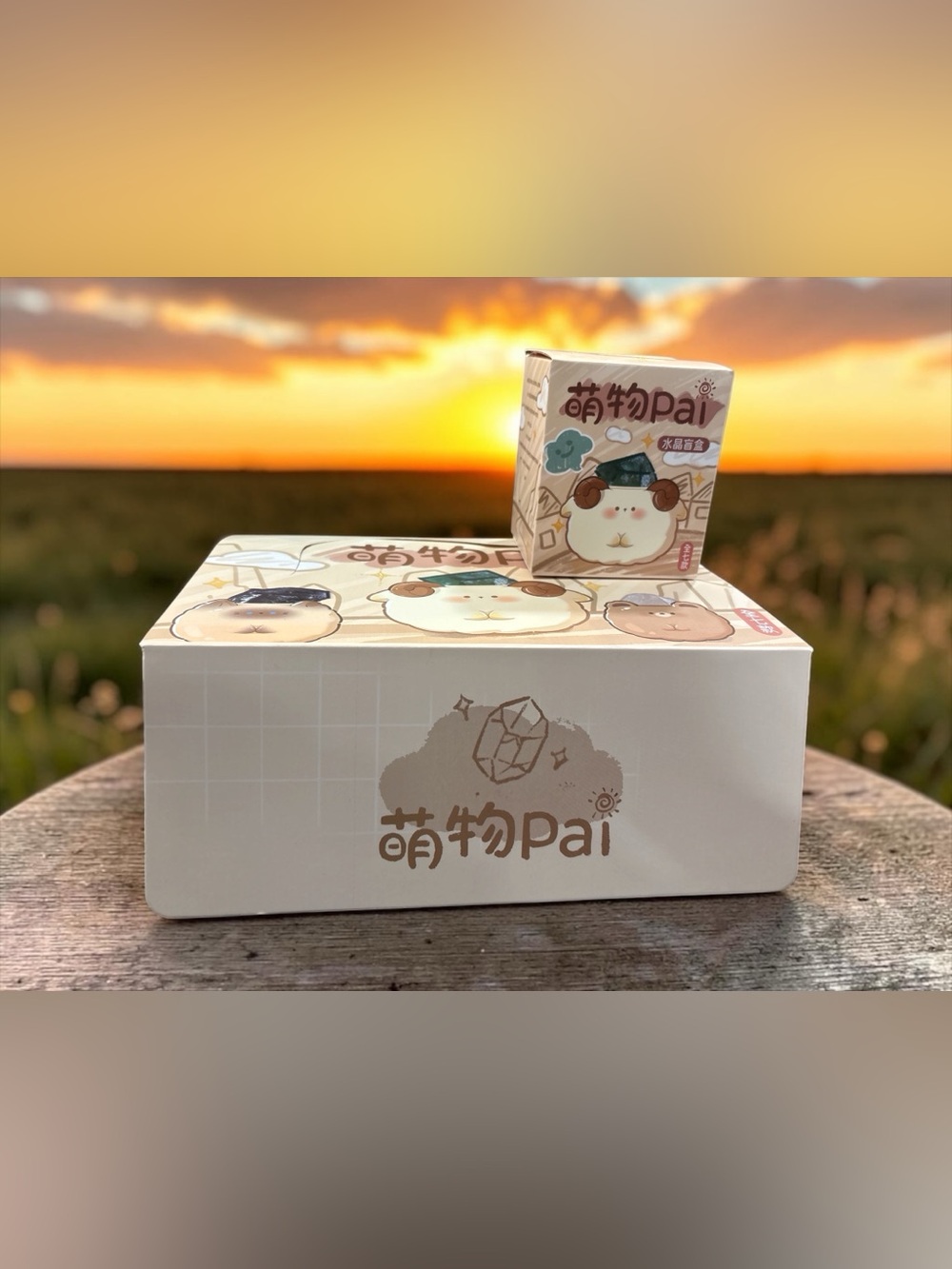 ✨💎 NEW AUTHENTIC RARE PAI Crystal Blind Box 💎